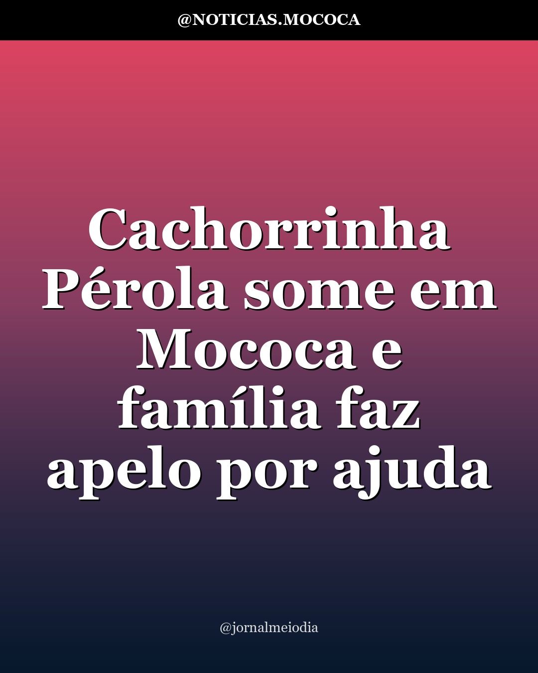Cachorrinha Pérola some em Mococa e família faz apelo por ajuda