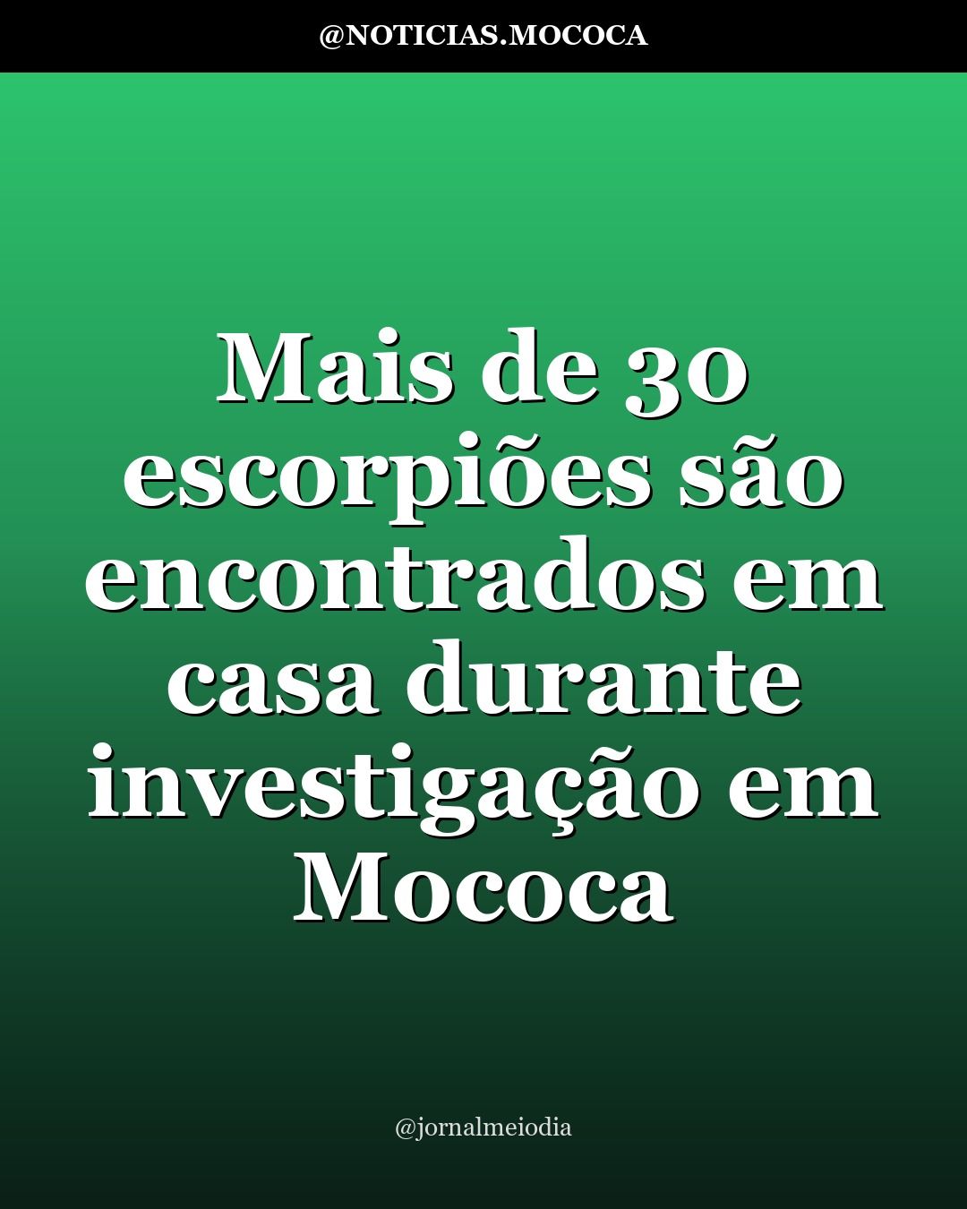 Mais de 30 escorpiões são encontrados em casa durante investigação em Mococa