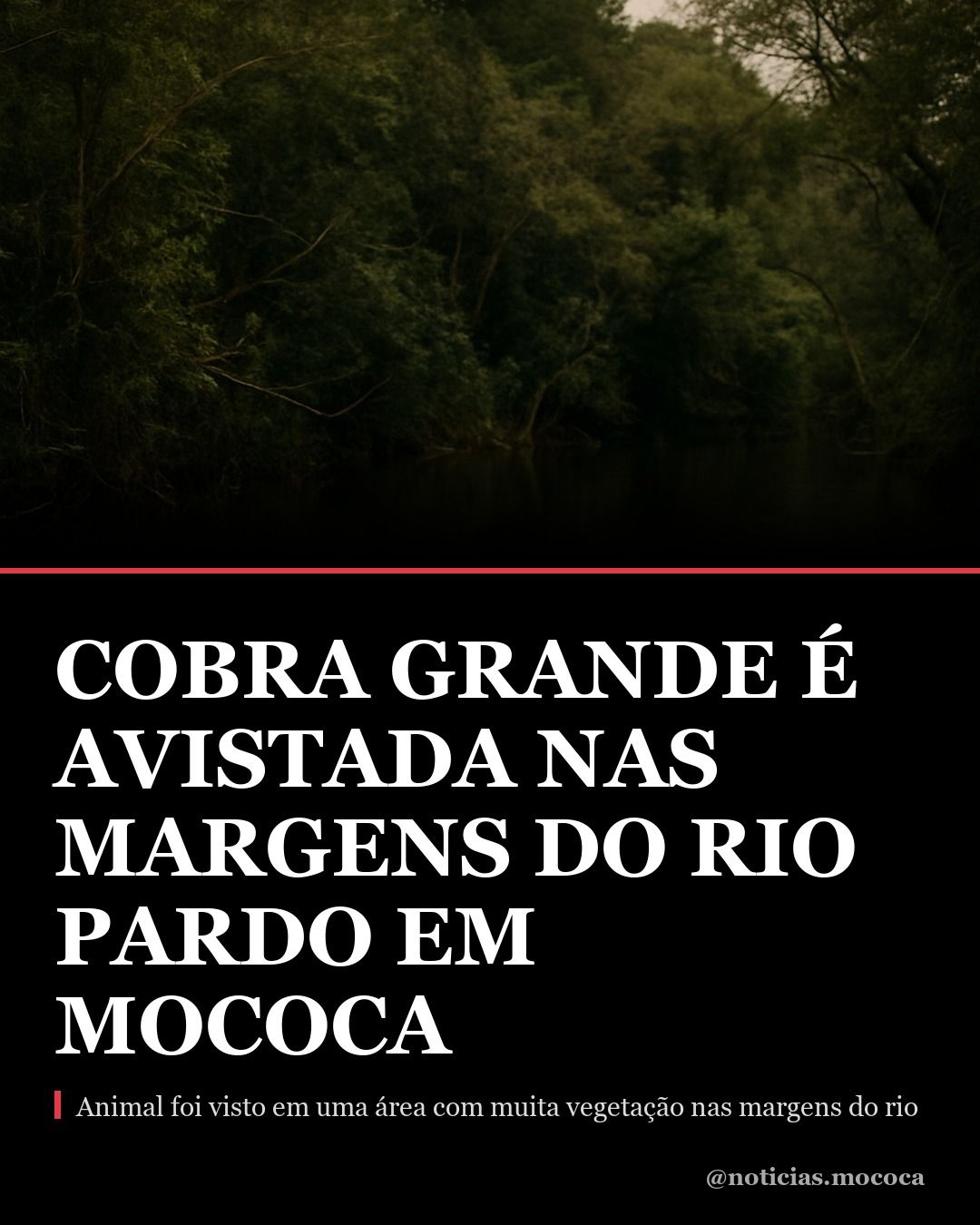 Cobra grande é avistada nas margens do rio Pardo em Mococa