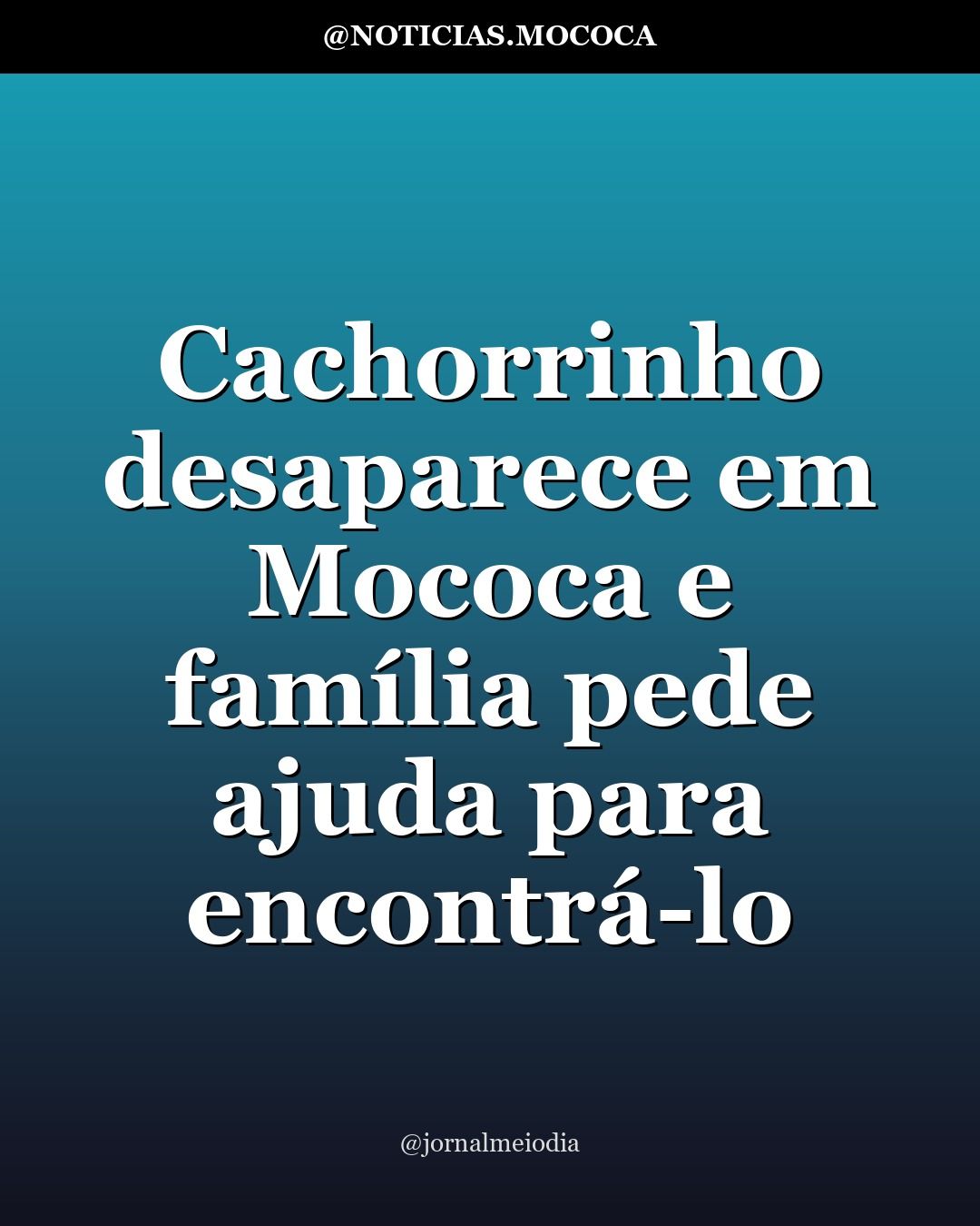 Cachorrinho desaparece em Mococa e família pede ajuda para encontrá-lo