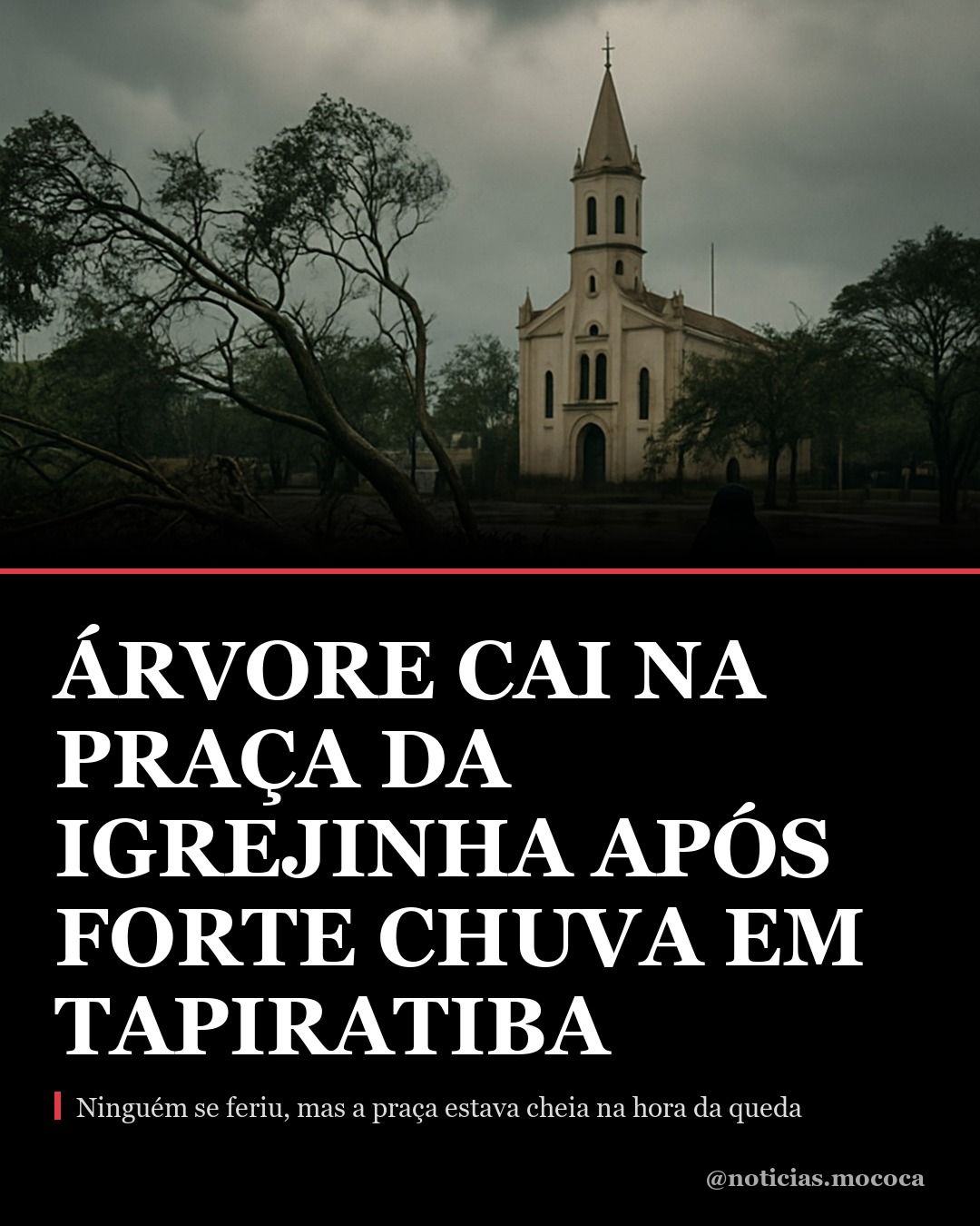 Árvore cai na Praça da Igrejinha após forte chuva em Tapiratiba
