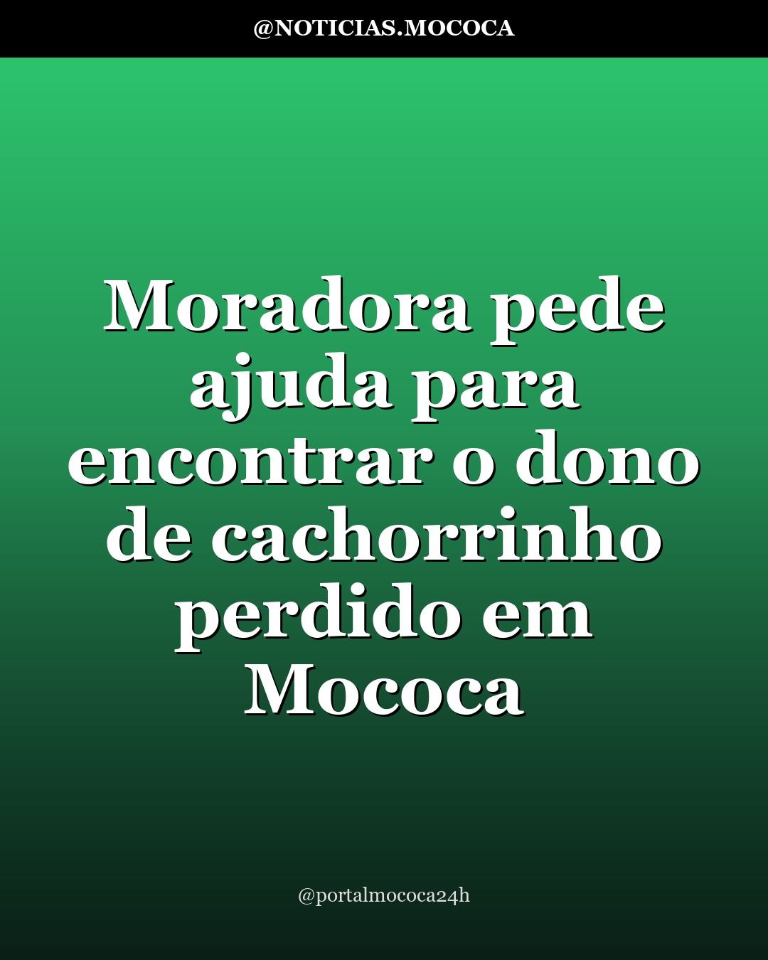 Moradora pede ajuda para encontrar o dono de cachorrinho perdido em Mococa