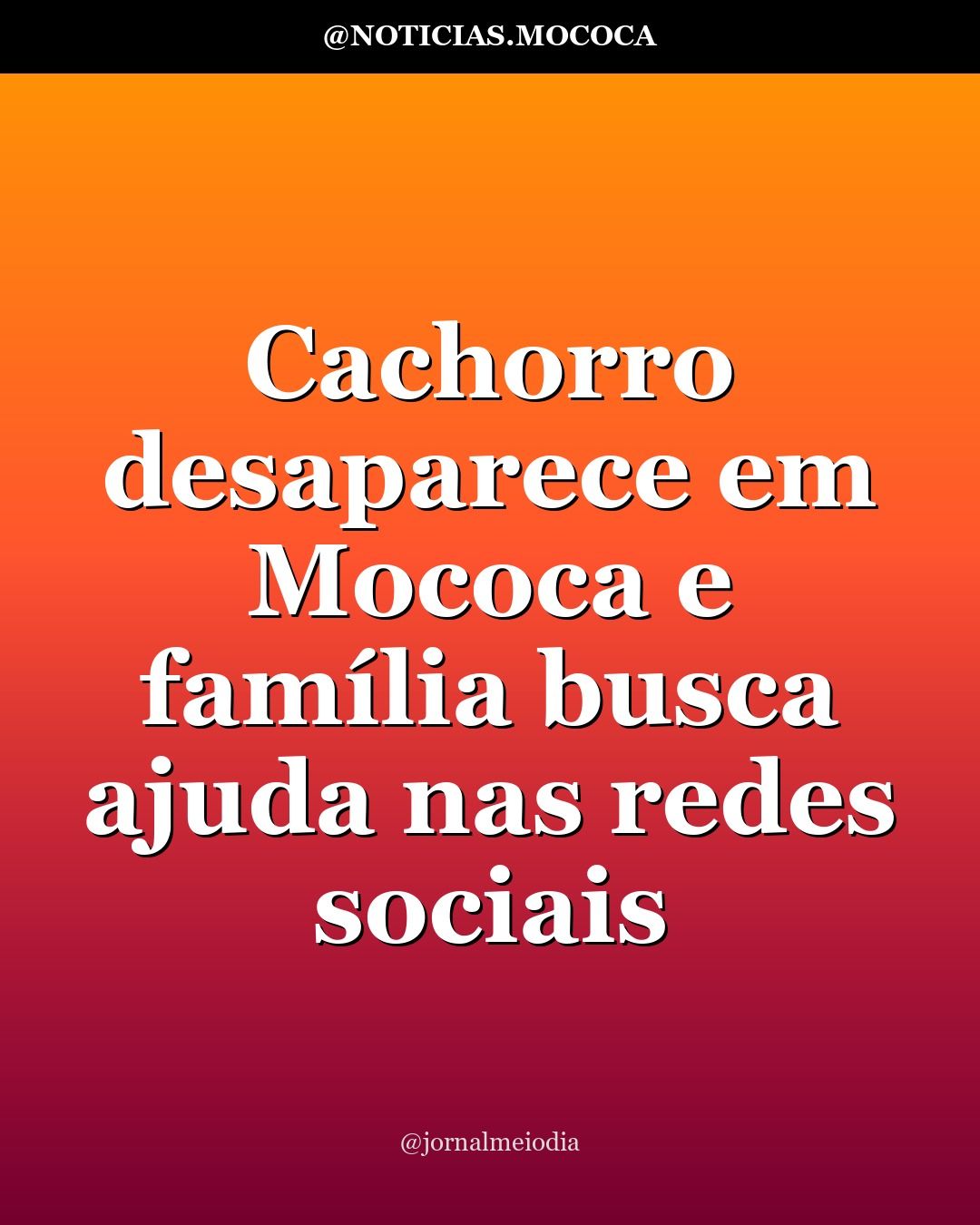 Cachorro desaparece em Mococa e família busca ajuda nas redes sociais