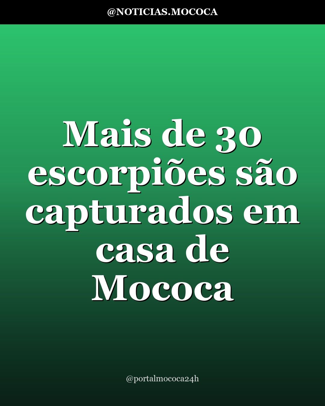 Mais de 30 escorpiões são capturados em casa de Mococa